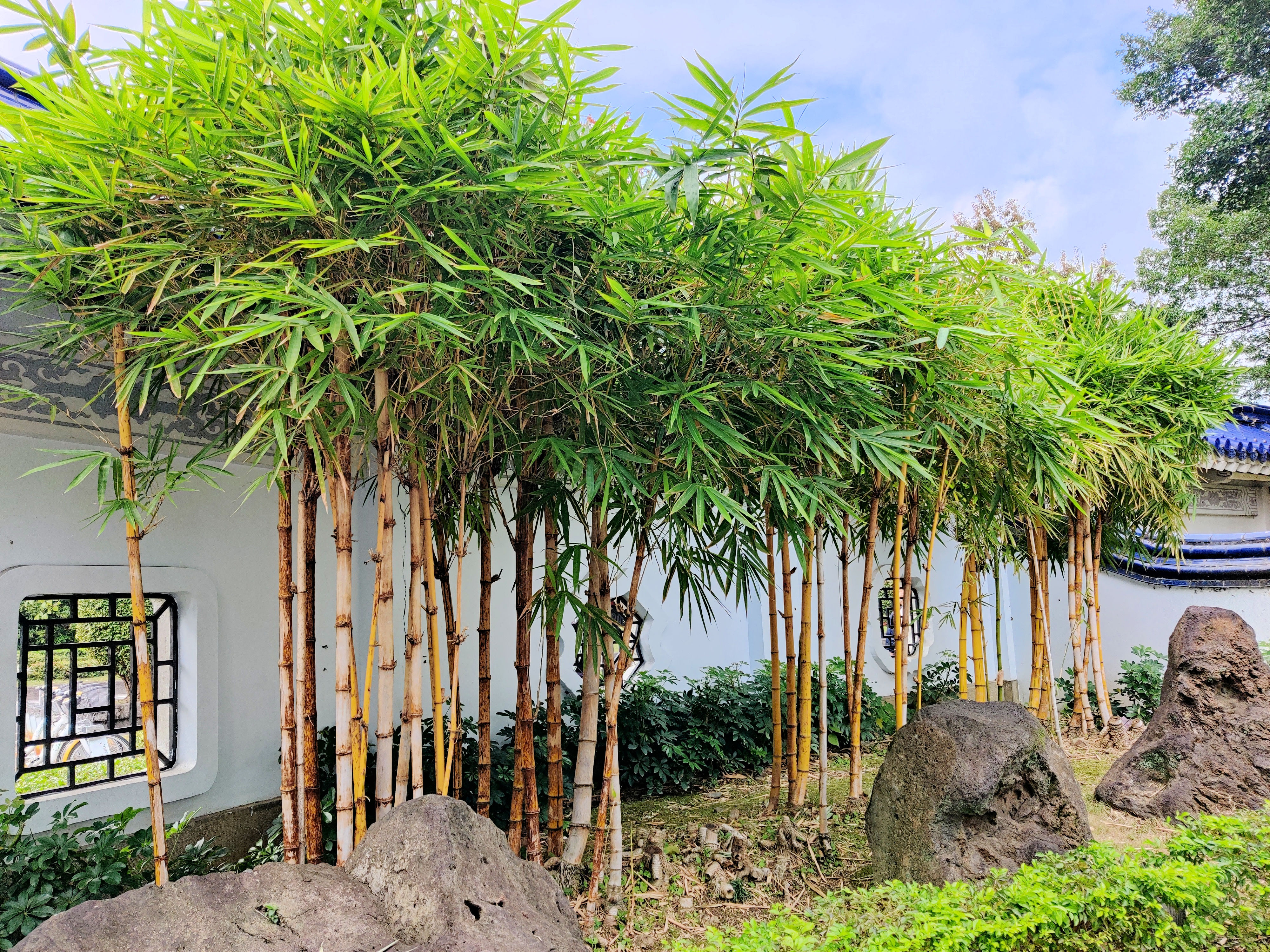 How to balance assertiveness and confidence with empathy in the workplace?